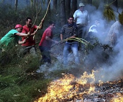 Cazadores y ganaderos, en el punto de mira por el fuego de Oia